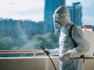 About Moline Pest Control Pros - pest control experts in Moline