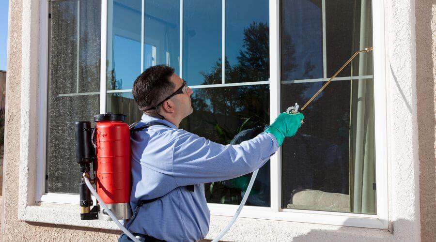 Professional pest control services in Moline